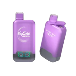 VapSolo TWINS PRO Disposable Vape4